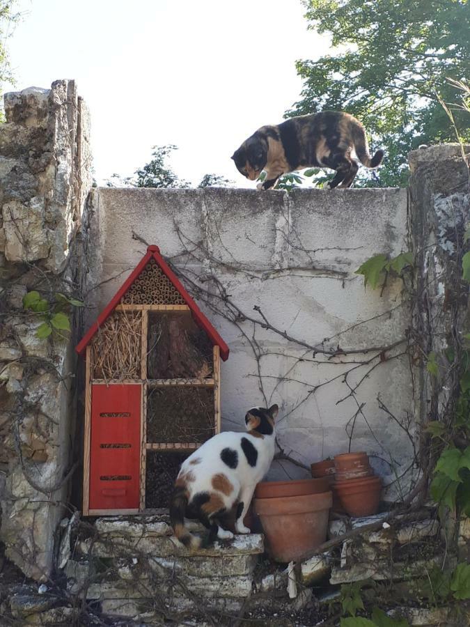 Mareil-sur-Mauldre Au Chat Perche المظهر الخارجي الصورة